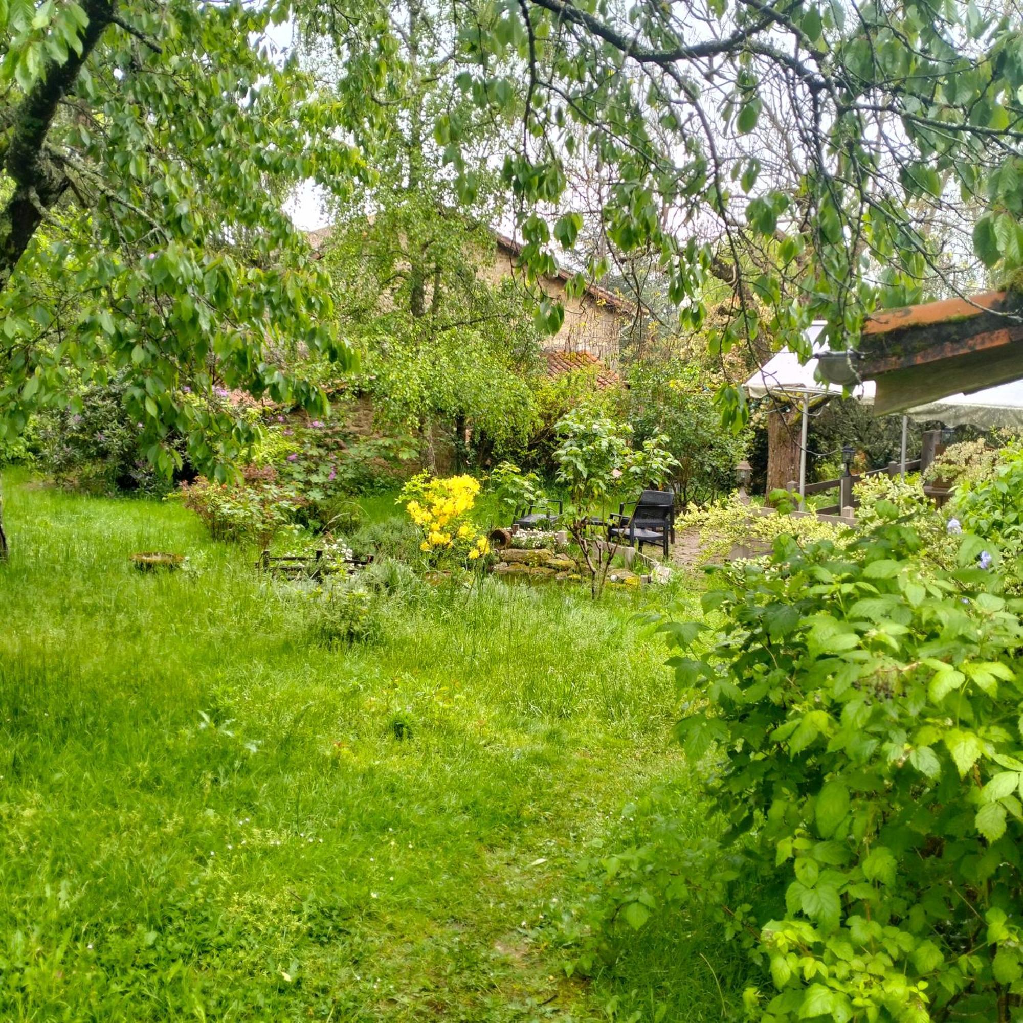 Chambres D'Hotes D'Antardieu Saint-Junien Dış mekan fotoğraf